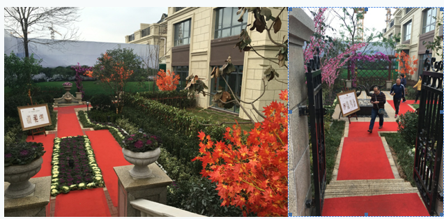 1479717225424146.png blob.png