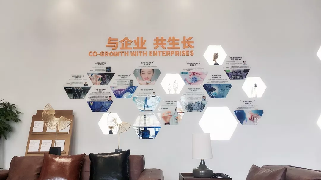 1565947240766107.png 6.png