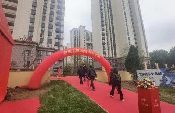 1619432003806632.jpg 4.jpg