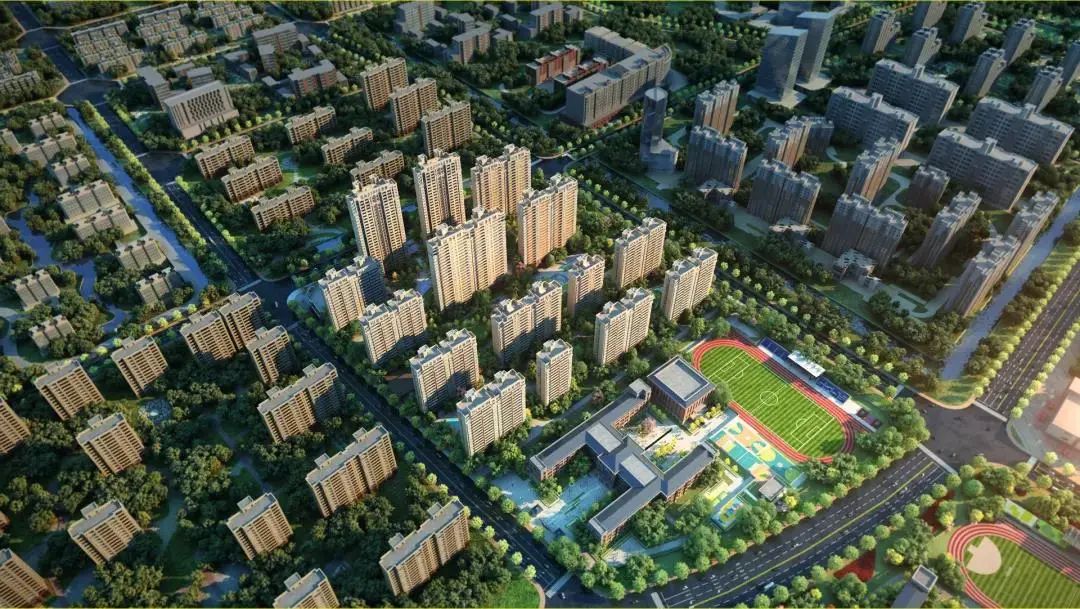 1625454416845451.jpg 5.jpg