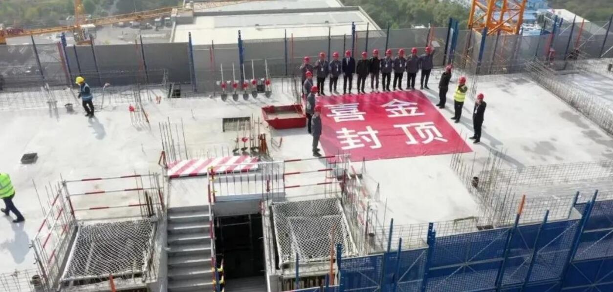 1635155075649147.jpg 6.jpg